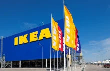 IKEA odkupi używane meble od klientów. Także w Polsce