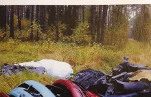Setki kilogramów samochodowych części porzucone w lesie