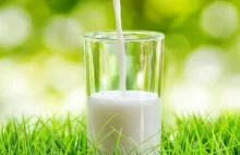 Wykryto związek między piciem mleka i rakiem piersi