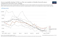 Pierwsza fala COVID-19 nie wywołała w Polsce zwiększonej śmiertelności populacji