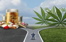 Włochy uznały CBD za narkotyk! Oddały rynek firmom farmaceutycznym.