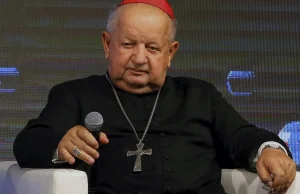 Kardynał Dziwisz nie widział filmu o pedofilii w polskim kościele. Tomasz...