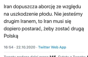 Ultrakonserwatywny, Muzułmański Iran dopuszcza aborcje ze względu na wady płodu.