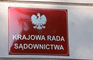 Prezes sądu i członek KRS nie wpisał do oświadczenia majątkowego dochodów...