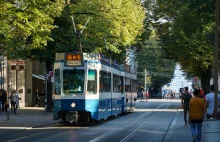 W Warszawie w tym roku zginęło 20 pieszych. Co trzeci pod tramwajem
