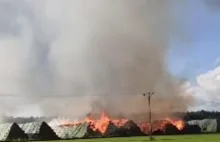 Lubuskie: Duży pożar firmy produkującej pellet ze słomy