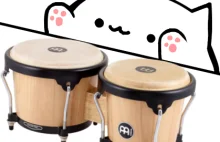 Bongo Cat