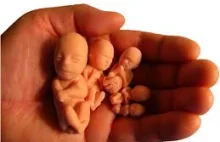 Czy dozwolona jest aborcja w sytuacji zagrożenia życia matki?