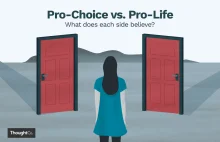 Wykopowa ankieta na temat aborcji.