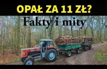 TANI OPAŁ? || Fakty i mity na temat samowyrobu drewna