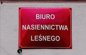 Dla dyrektora osiem godzin w biurze to za dużo, ale nagrodę wziął