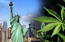Nowy Jork zalegalizuje marihuanę, aby ożywić gospodarkę po pandemii COVID-19
