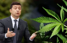Czy Ukraina zalegalizuje medyczną marihuanę? Prezydent zapowiedział...