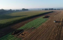 Śląskie/ Celtycki piec garncarski sprzed ponad 2 tys. lat odkryto na Śląsku