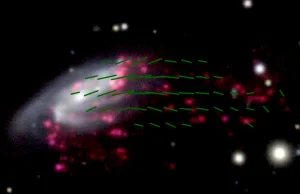 Niezwykłe pole magnetyczne galaktyki - meduzy