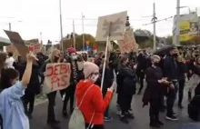 Wrocław: Kierowca z bejsbolem wyszedł do demonstrantów