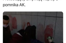 Protestujący zmywają napisy z pomnika AK.