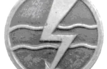Błyskawica: emblemat SS, Wojska Polskiego czy symbol bez konotacji?