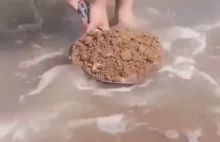 Co może kryć w sobie przypadkowa łycha piasku?