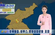 Korea Północna ostrzega przed „żółtym pyłem”