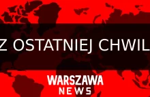 Rząd odkupi kwiaty od producentów i sprzedawców - Warszawa News