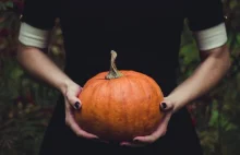 W związku z Halloween na świecie marnuje się tysiące ton dyń