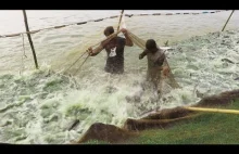 Łowienie sumów w stawie przez sieć rybacką | Film wędkarski