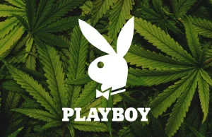 Playboy uruchamia kampanię promującą legalizację, dekryminalizację i...