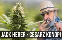 Kim był Jack Herer - Cesarz Konopi?