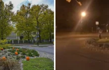 Sopot: nieznani sprawcy ukradli część jesiennych dekoracji [WIDEO]