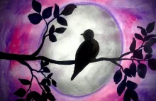 Jak narysować ptaka na tle księżyca - lekcje rysowania dla dzieci i dorosłych