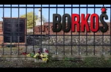 BORKOŚ - Zamknięte cmentarze w całej Polsce | Raport z Warszawy