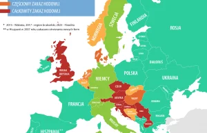 Zakaz hodowli zwierząt futerkowych w Europie: gdzie obowiązuje, gdzie nie