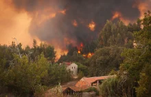 Ubiegłoroczne pożary lasów w Europie były największe w historii pomiarów