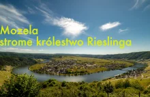 Mozela - strome królestwo Rieslinga - Więcej Wina