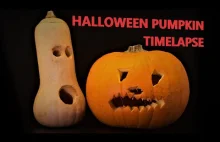 Halloween pumpkin 16 days TimeLapse
