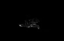 Biały Szum & czarny ekran na noc, usypianie niemowlaka