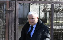 Jarosław Kaczyński bez maseczki. Prezes PiS znów przyłapany na łamaniu...