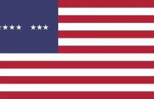 Sikorski pokazuje przerobioną flagę USA z wulgarnym hasłem
