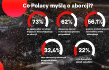 Polacy o aborcji. Wyborcy PiS bardziej liberalni niż politycy.