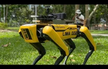 Pies-robot wyposażony w czujniki i kamery walczy z koronawirusem