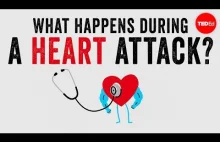 What happens during a heart attack? - Krishna Sudhir