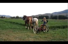 Mowing Hay with Horses