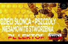 Film o dzikich pszczołach: Dzieci Słońca (polski lektor)