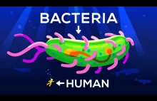 [EN] Jak duże mogą być bakterie? - [Kurzgesagt – In a Nutshell]