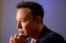 Elon Musk rekrutuje do fabryki Tesli w Niemczech.