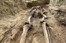 Odnaleziono szczątki sióstr zakonnych – ofiar sowieckich żołnierzy?