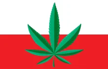 Sondaż CBOS: Ponad 60% Polaków za dekryminalizacją marihuany!