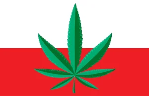Sondaż CBOS: Ponad 60% Polaków za dekryminalizacją marihuany!