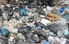 Zatrzymano ponad 400 ton odpadów i 31 ton fluorowanych gazów w ciągu miesiąca